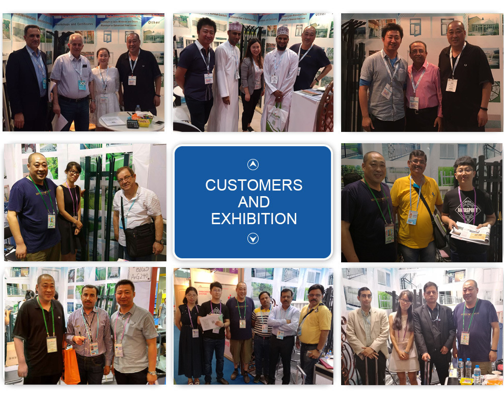 Hot Dipped Galvanized Wrougt Iron Balcony Fence with Cheap Price