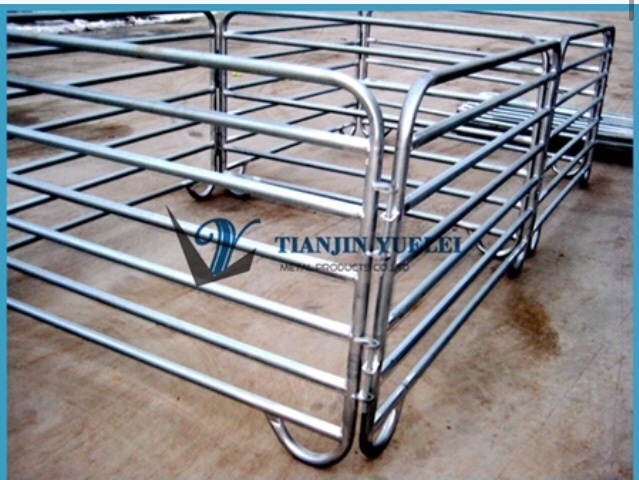 Custom Hot DIP Galvanized Cattle Fence